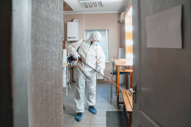 Best Forensic Mold Investigation  in The Village Of Indian Hill, OH